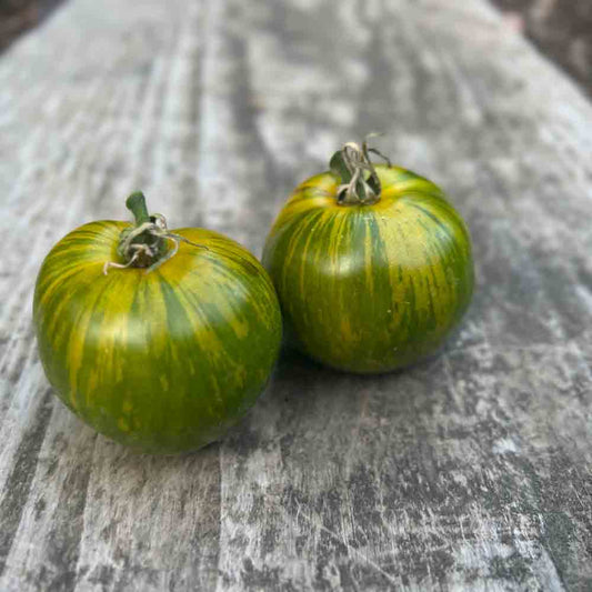 TOMATE GREEN ZEBRA AB