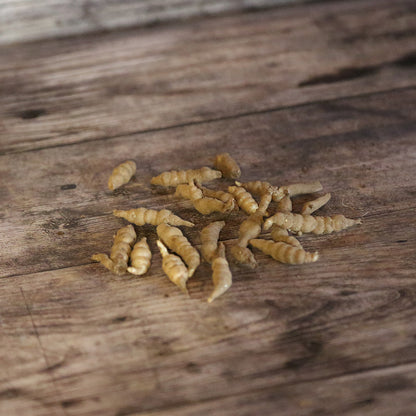 CROSNES AB - BUCKET