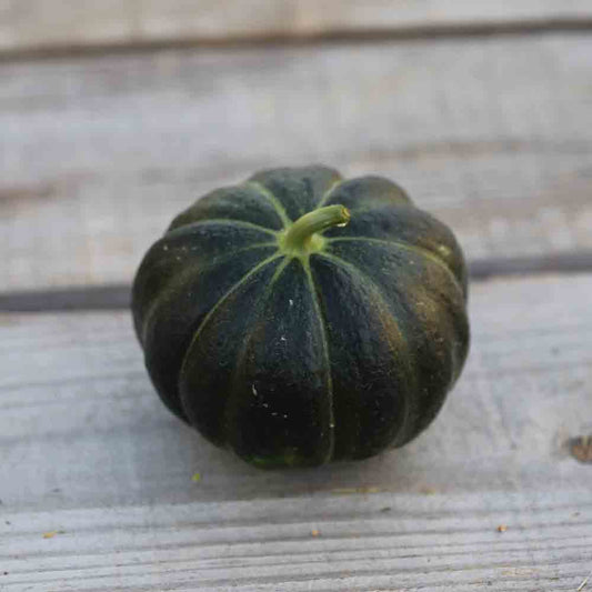 BLACK MELON OF CARMES AB