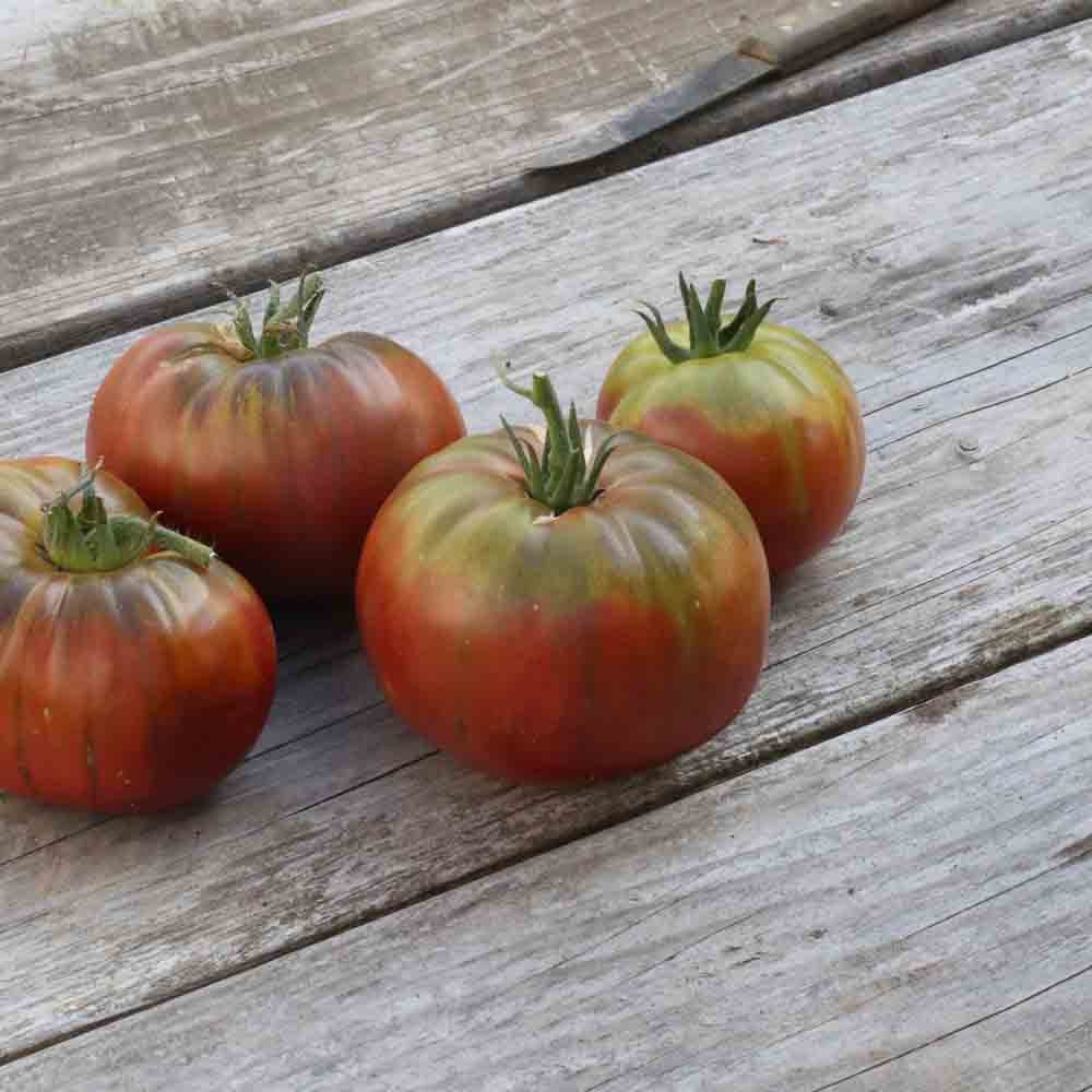 TOMATE NOIRE DE CRIMEE PLANT AB