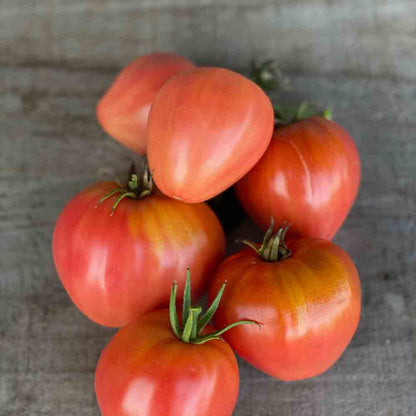 PINK BEEF HEART TOMATO AB