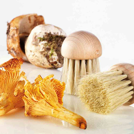 BROSSE A CHAMPIGNONS