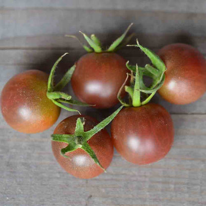 TOMATE BLACK CHERRY AB