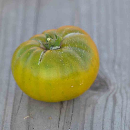 TOMATE GREEN MOLDOVAN AB