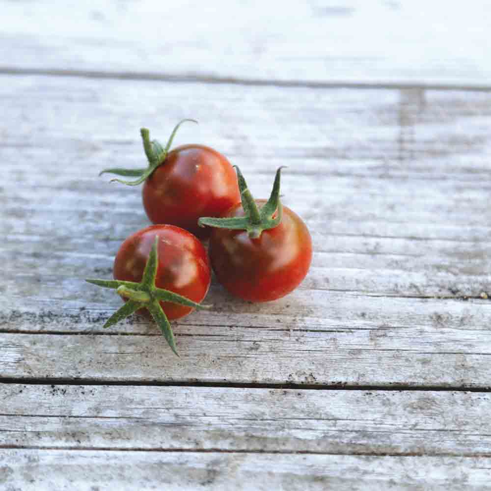 TOMATE CHINESE BLACK PEARL AB