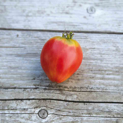 TOMATE GERMAN RED STRAWBERRY AB