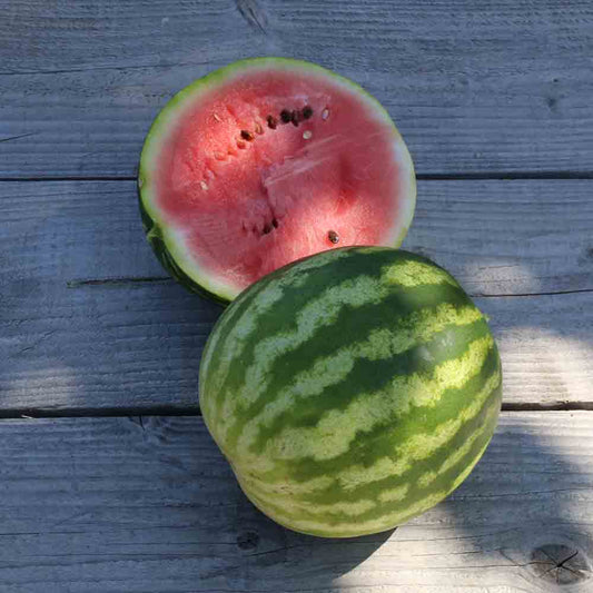 WATERMELON DI BAGNACAVALLO AB