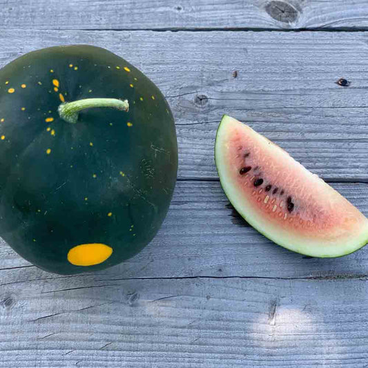 Wassermelone Mond und Sterne AB