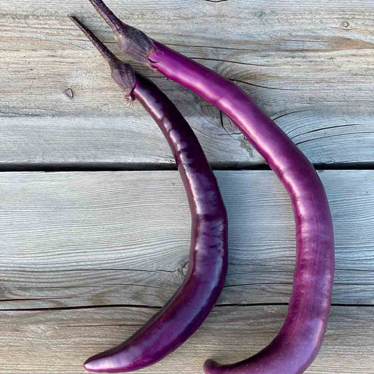 AUBERGINE JAPANESE PICKLING AB