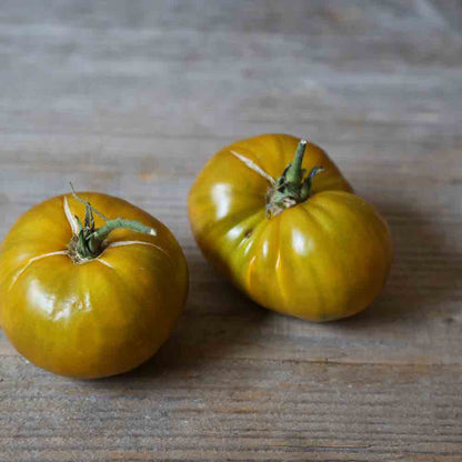 TOMATE GREEN VELVET AB