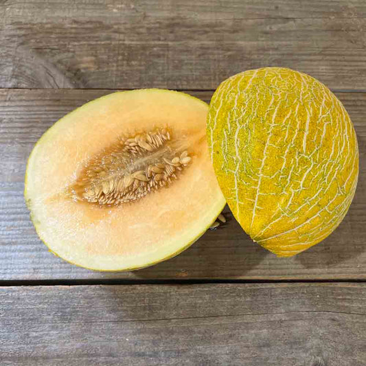 SPANISH CAVAILLON MELON WITH PINK FLESH AB