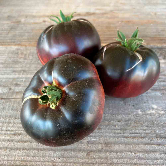 TOMATE BLACK BEAUTY AB