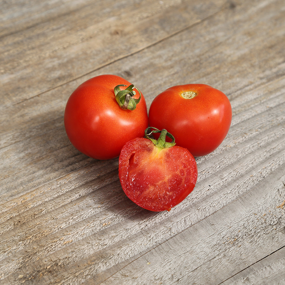 TOMATEN BELLE DE LORRAINE AB