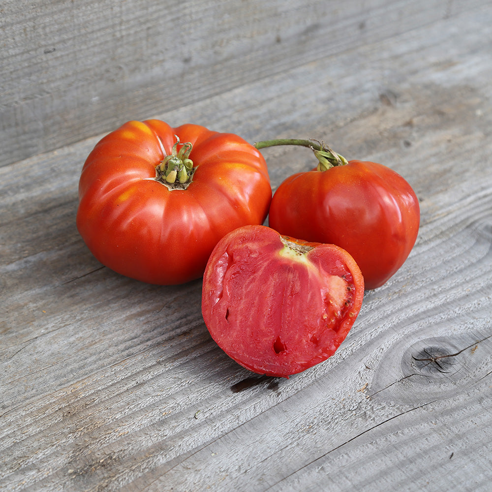 TOMATE ROUGE DE CORSE AB