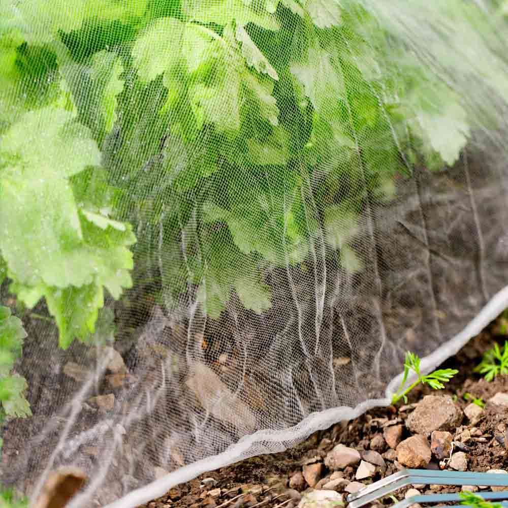 ANTI-INSECT NET