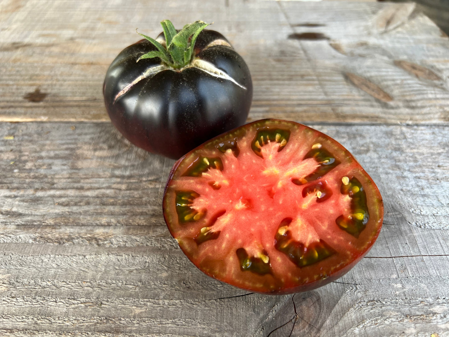 TOMATE BLACK BEAUTY AB