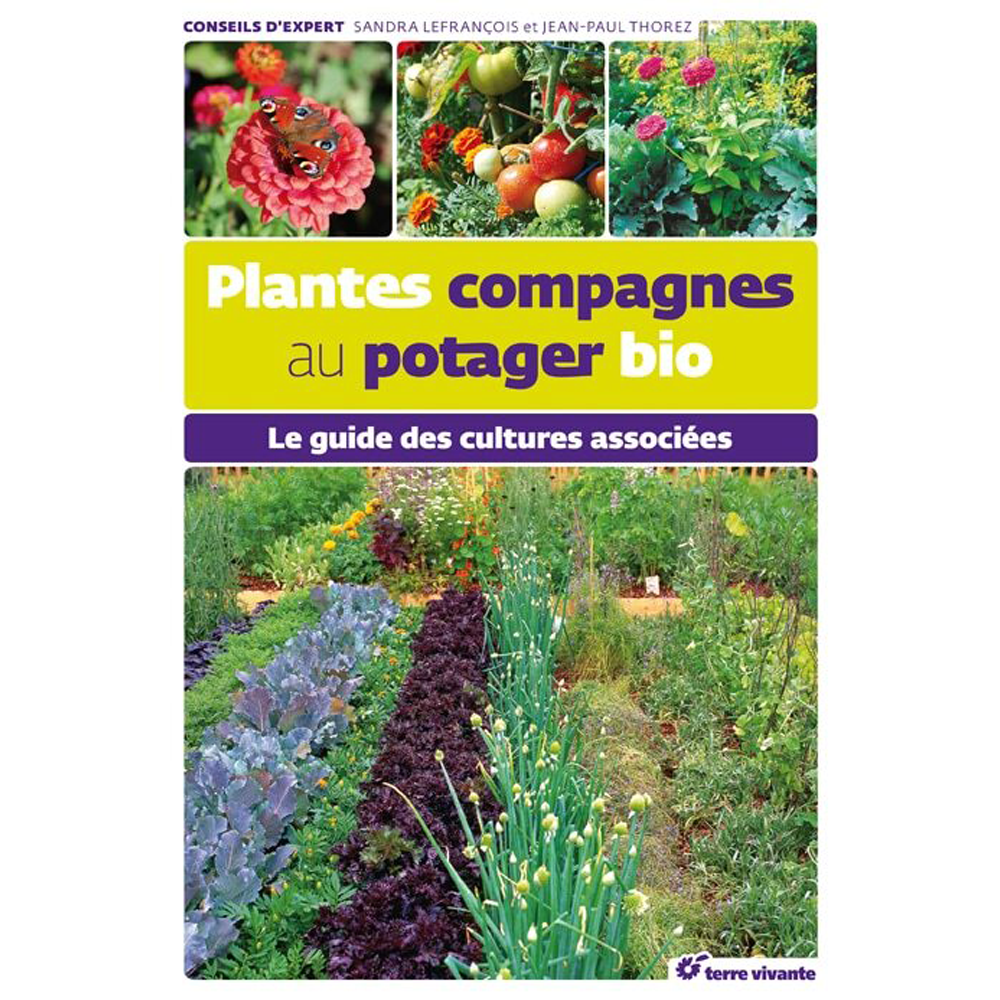 PLANTES COMPAGNES AU POTAGER BIO