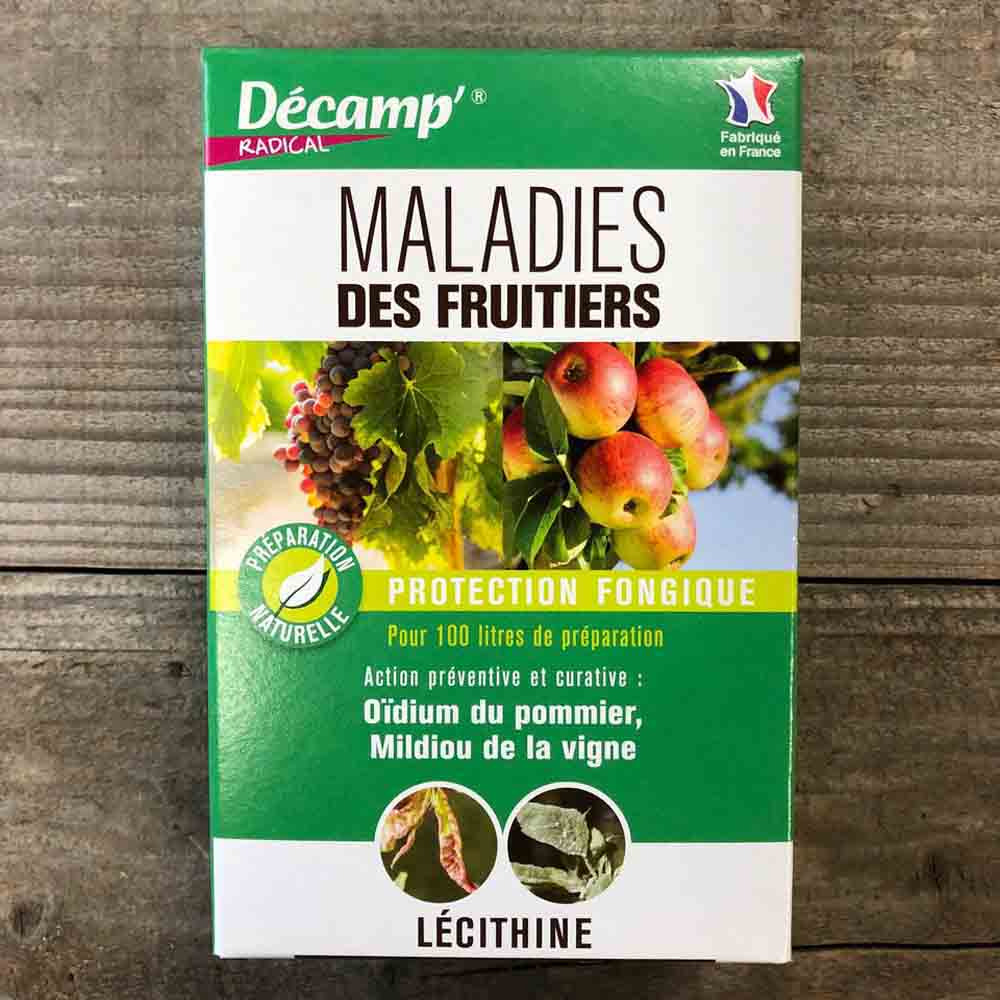 TRAITEMENT MALADIES ARBRES FRUITIERS (CLOQUE DU PECHER ET OIDIUM DU POMMIER)