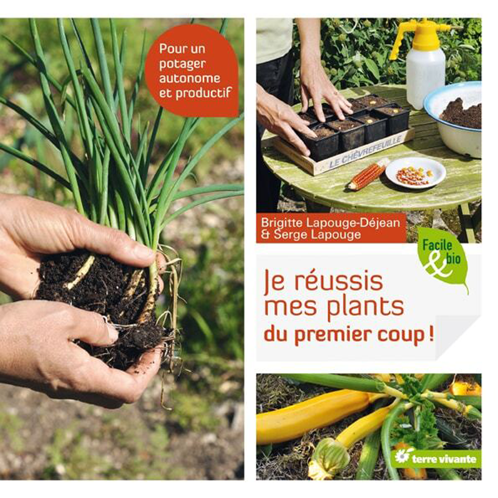 JE REUSSIS MES PLANTS DU PREMIER COUP