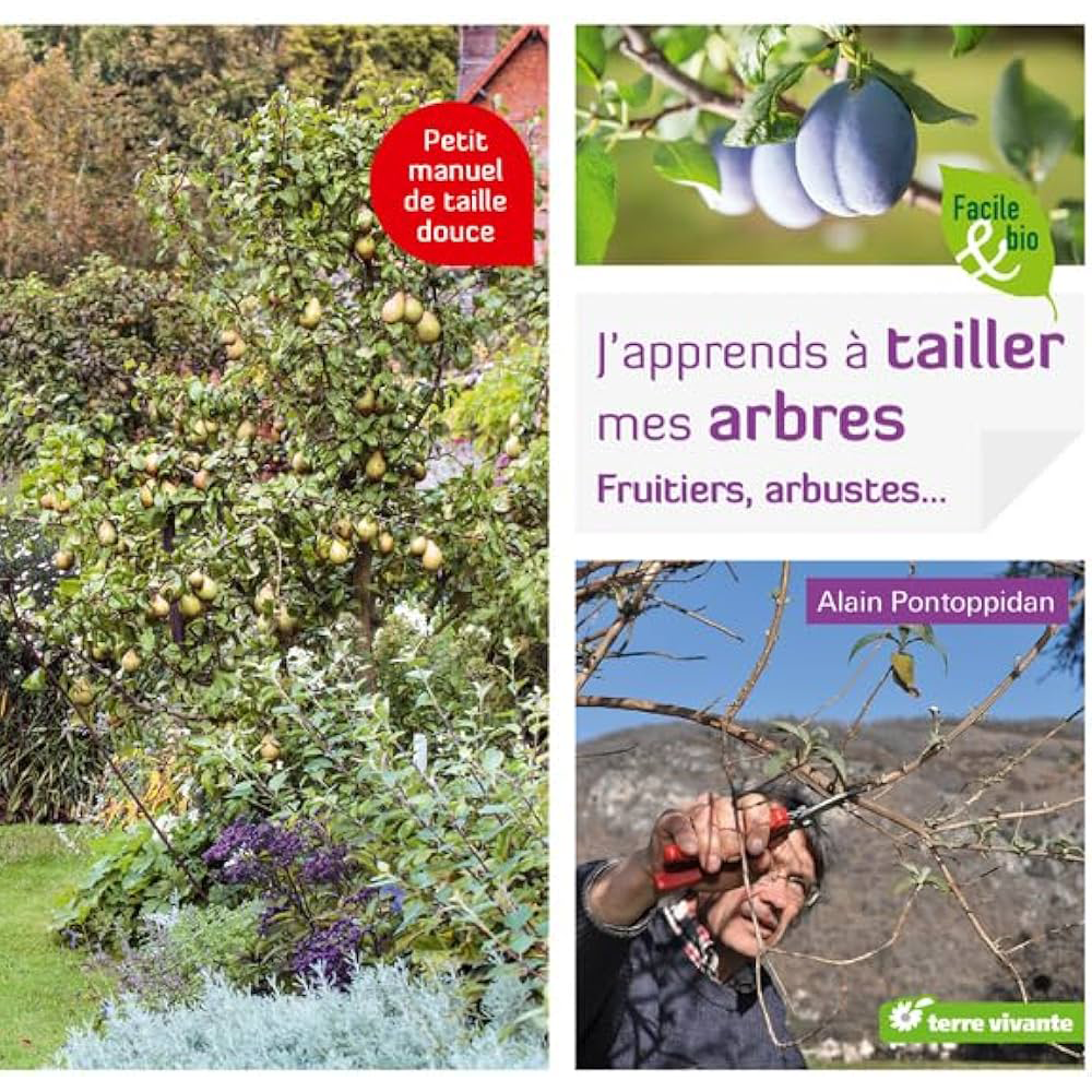 J’APPRENDS À TAILLER MES ARBRES - FRUITIERS, ARBUSTES…