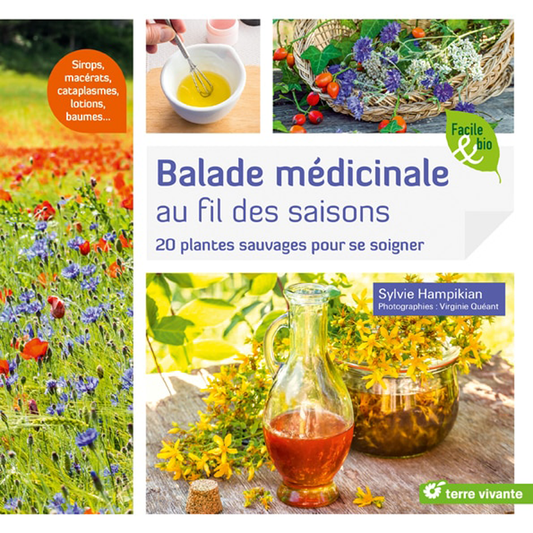 BALADE MEDICINALE AU FIL DES SAISONS