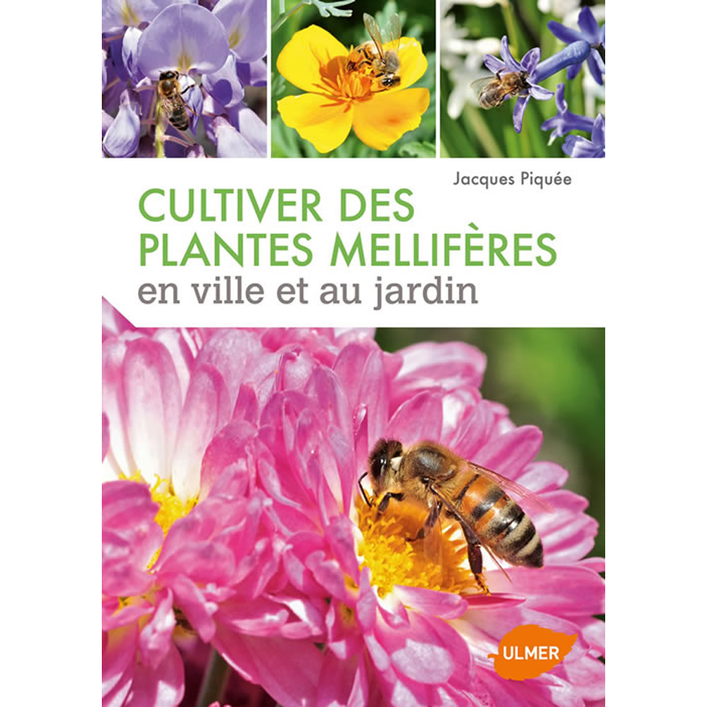 CULTIVER DES PLANTES MELLIFERES EN VILLE ET AU JARDIN