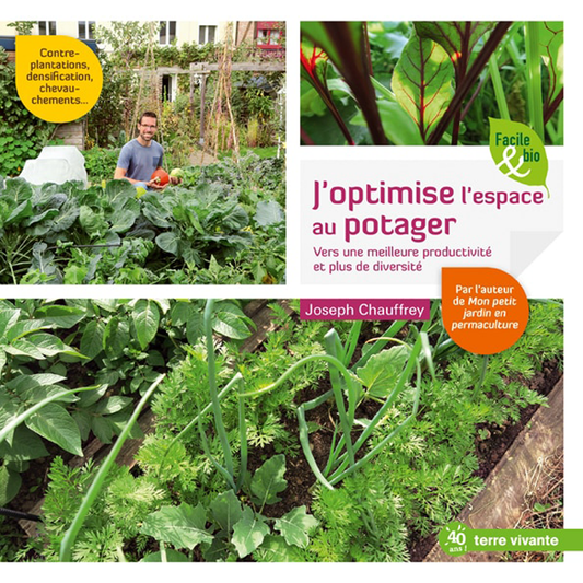 I OPTIMIZE THE SPACE IN THE VEGETABLE GARDEN