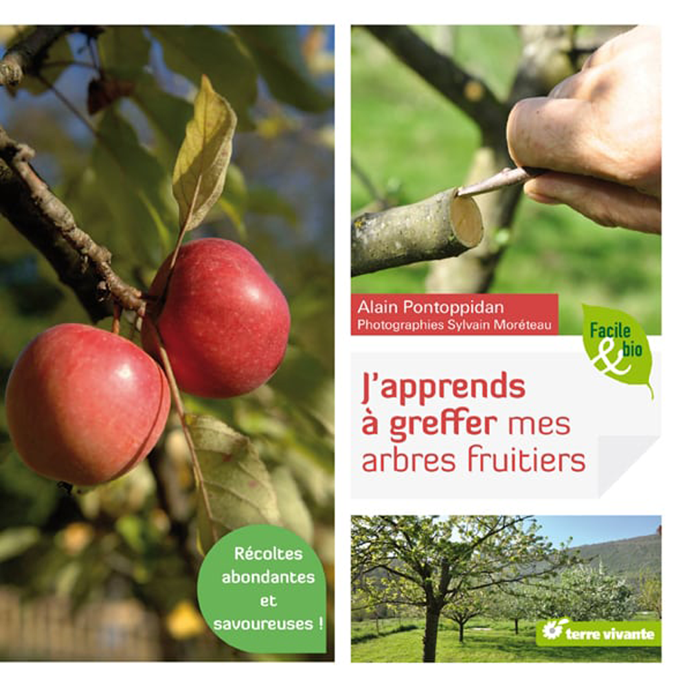 J´APPRENDS A GREFFER MES ARBRES FRUITIERS