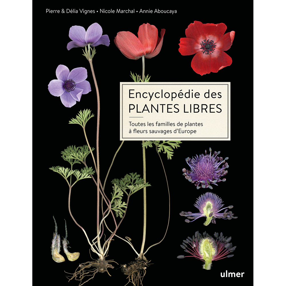 ENCYCLOPEDIE DES PLANTES LIBRES