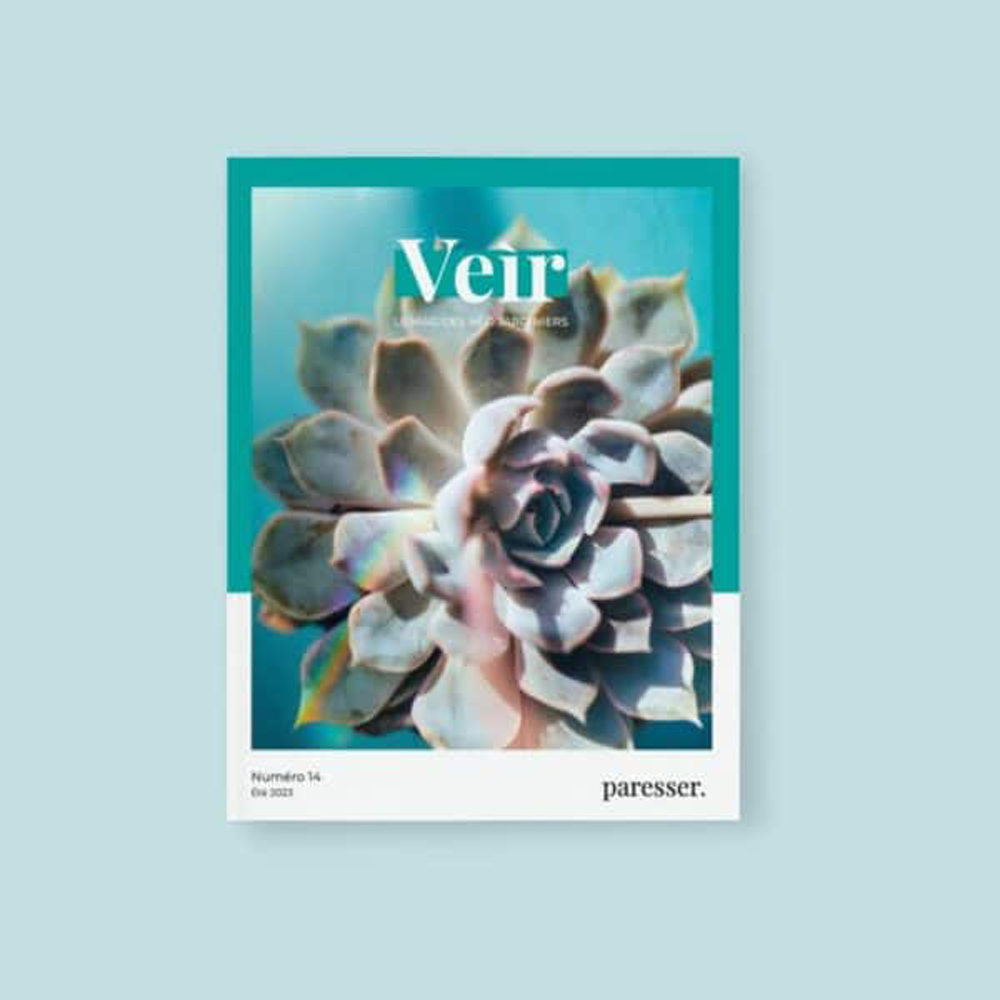 VEIR MAGAZINE -  n°14 Paresser