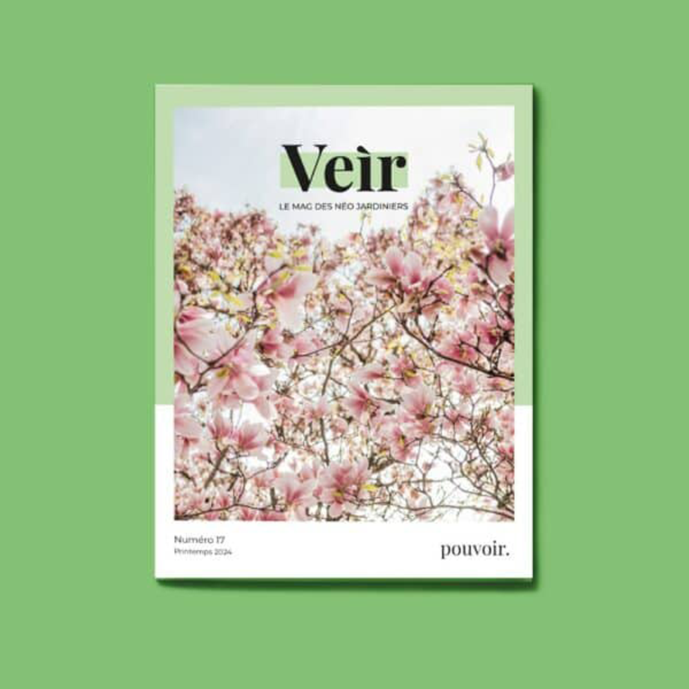 VEIR MAGAZINE -  n°17 Pouvoir