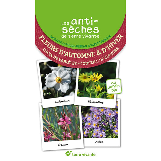 TERRE VIVANTE CHEAT SHEETS: AUTUMN AND WINTER FLOWERS - CHOICE OF VARIETIES GROWING ADVICE