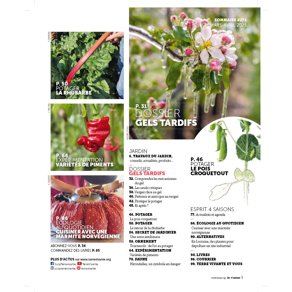 MAGAZINE 4 SAISONS - n271 GELS TARDIFS : Protéger verger et potager