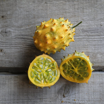 CONCOMBRE CORNU D'AFRIQUE KIWANO PLANT AB