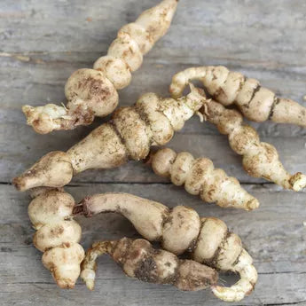 CROSNES OF JAPAN AB