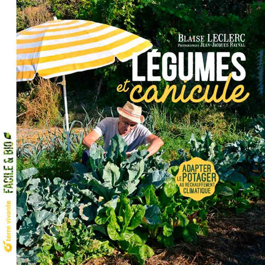 LEGUMES ET CANICULE