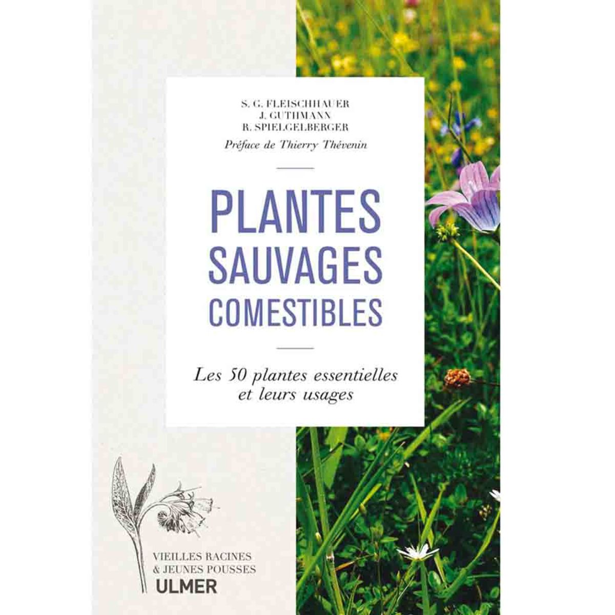 PLANTES SAUVAGES COMESTIBLES