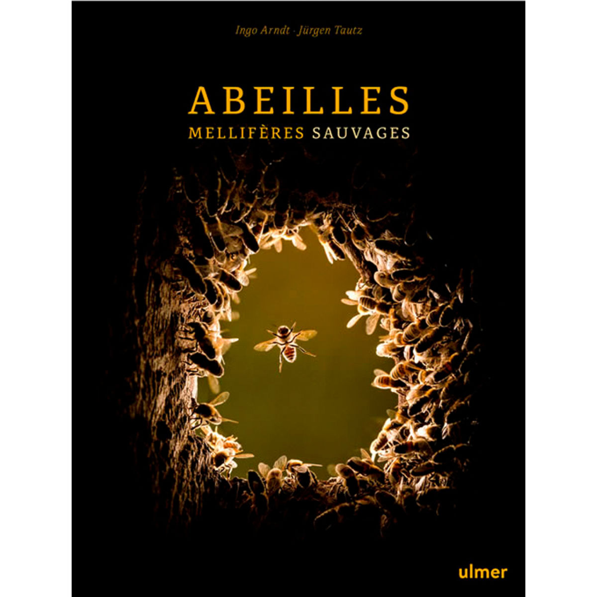 ABEILLES mellifères sauvages