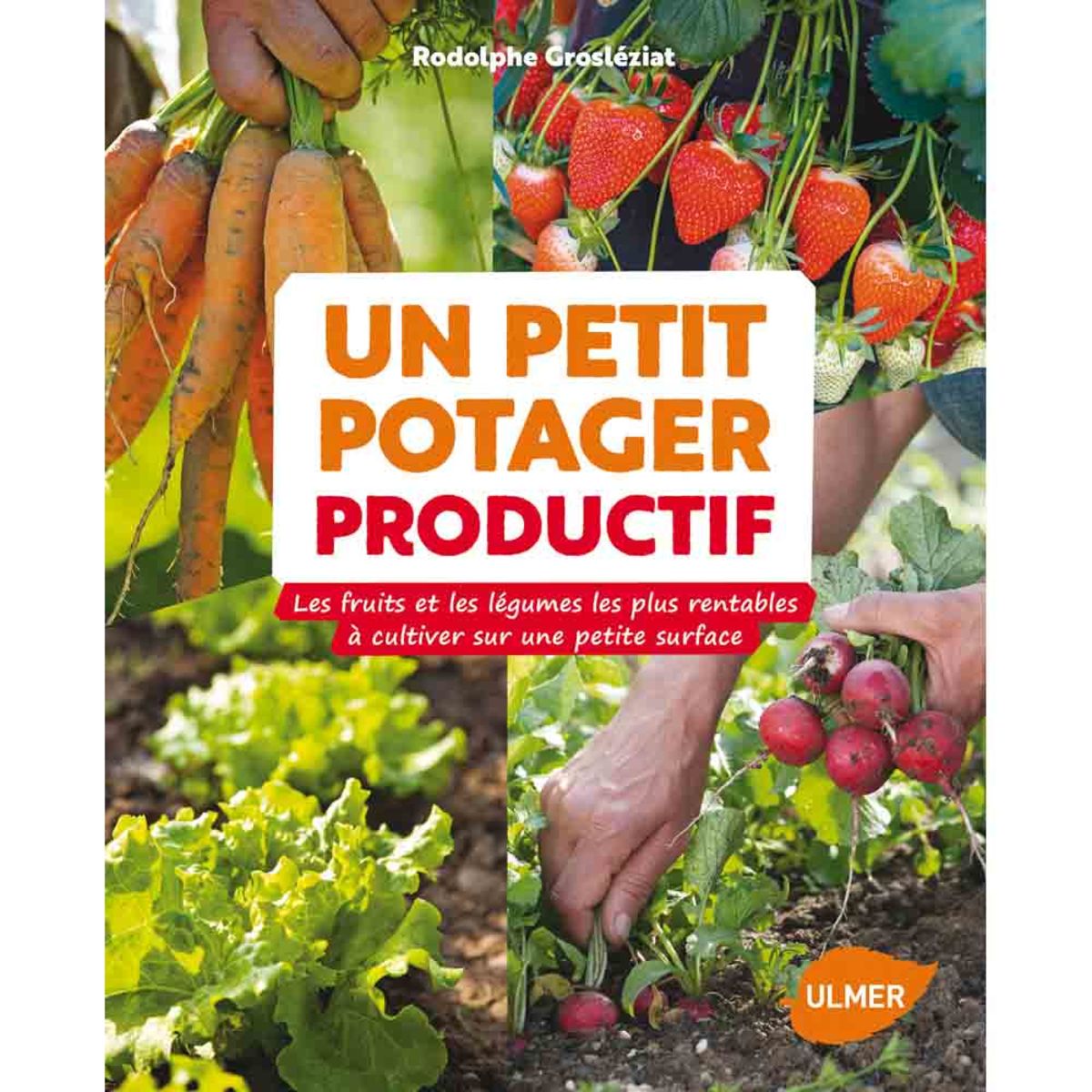 UN PETIT POTAGER PRODUCTIF