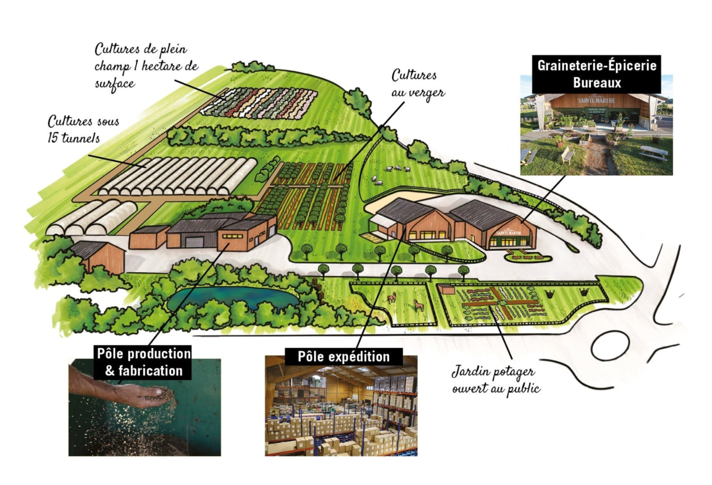 Plan de la Ferme en dessin